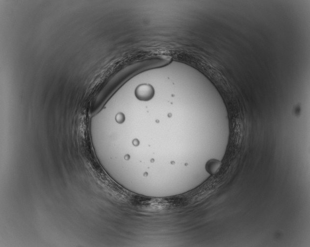 X0000116330612200912151307