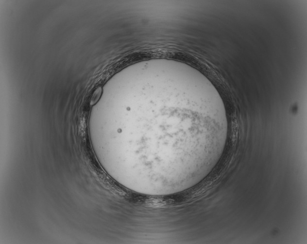 X0000116330613200912151307