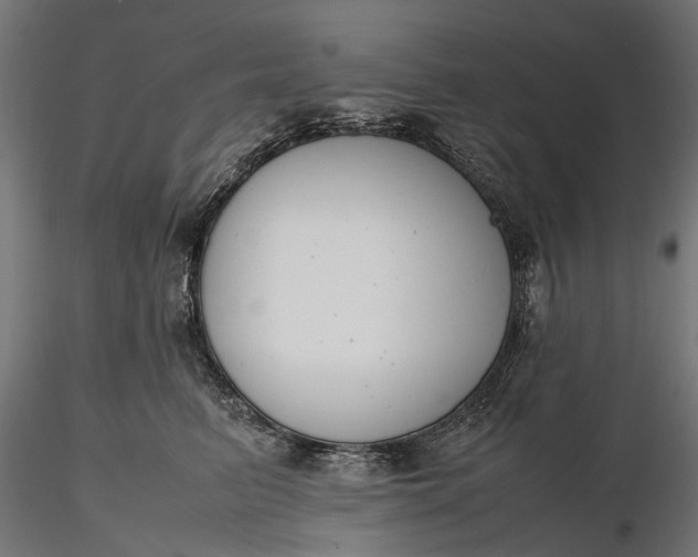 X0000116330615200912151307