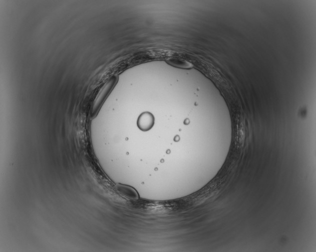 X0000116330616200912151307