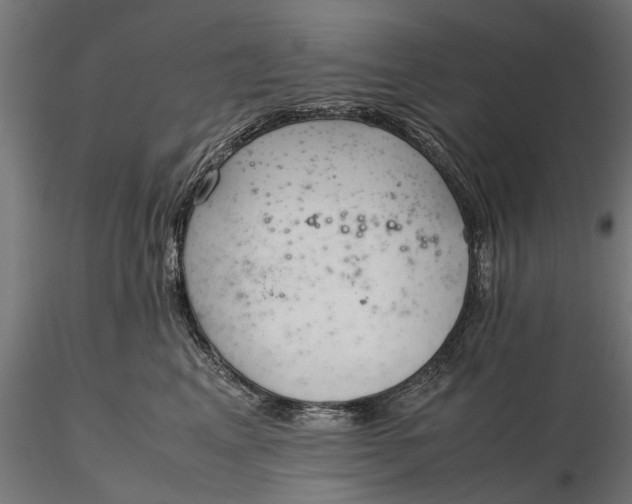 X0000116330617200912151307