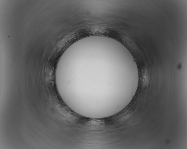 X0000116330619200912151307