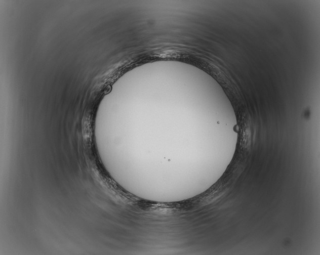 X0000116330620200912151307