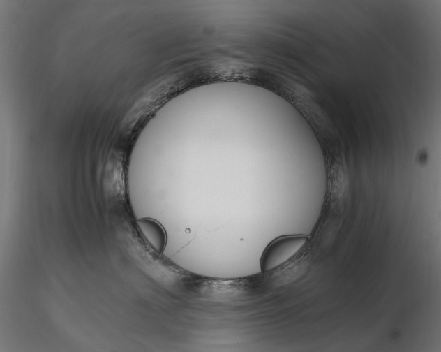 X0000116330622200912151307