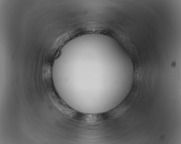 X0000116330623200912151306