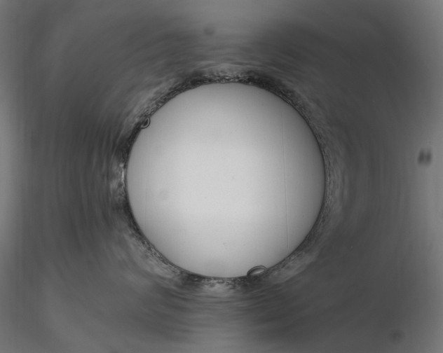 X0000116330624200912151306