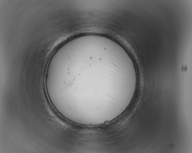 X0000116330625200912151306