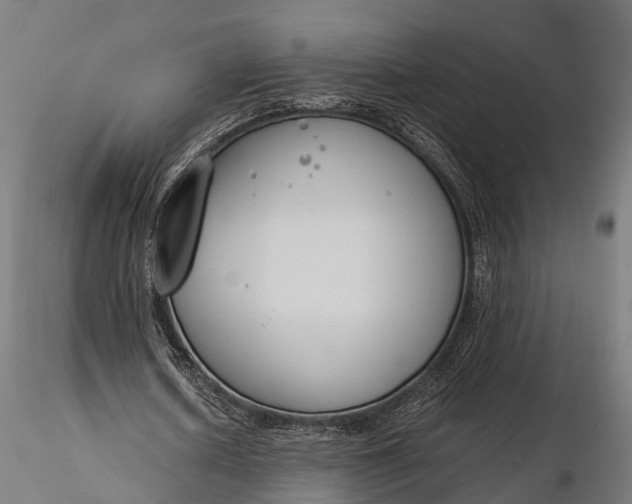 X0000116330626200912151306