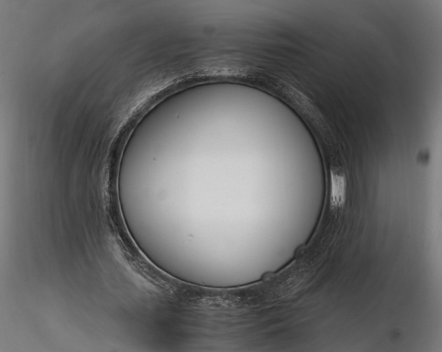 X0000116330627200912151306