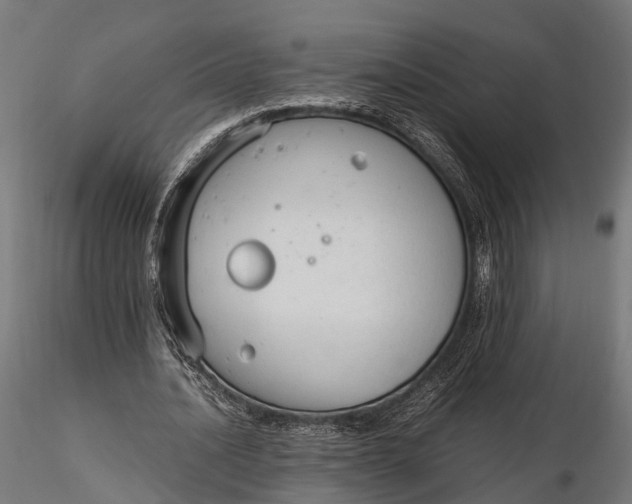 X0000116330628200912151306