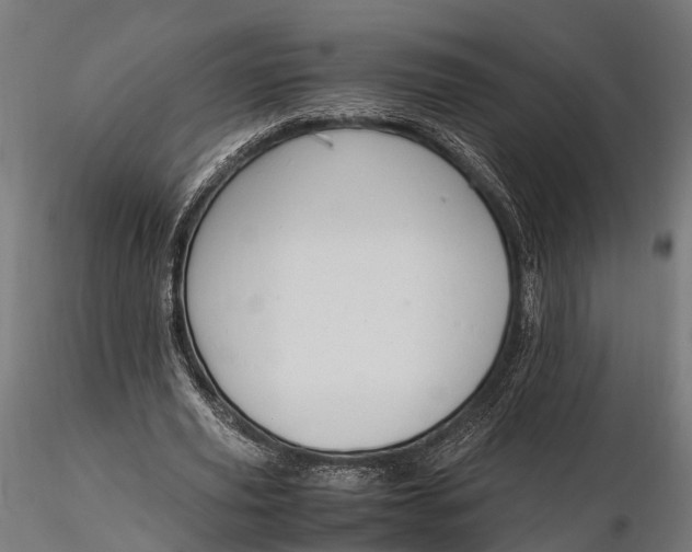 X0000116330629200912151306