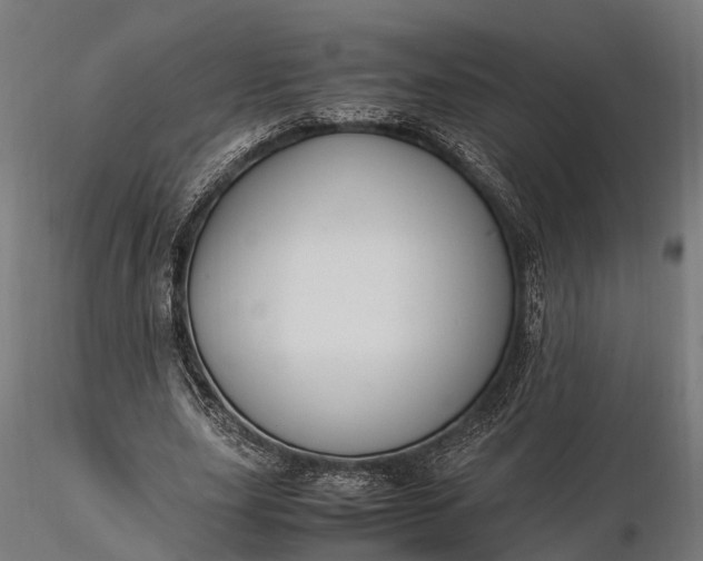 X0000116330631200912151306