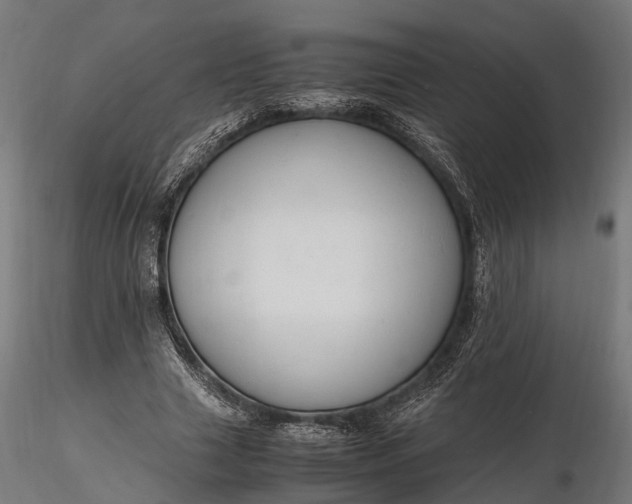 X0000116330633200912151306