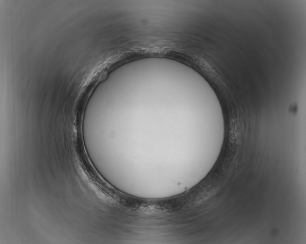 X0000116330634200912151306