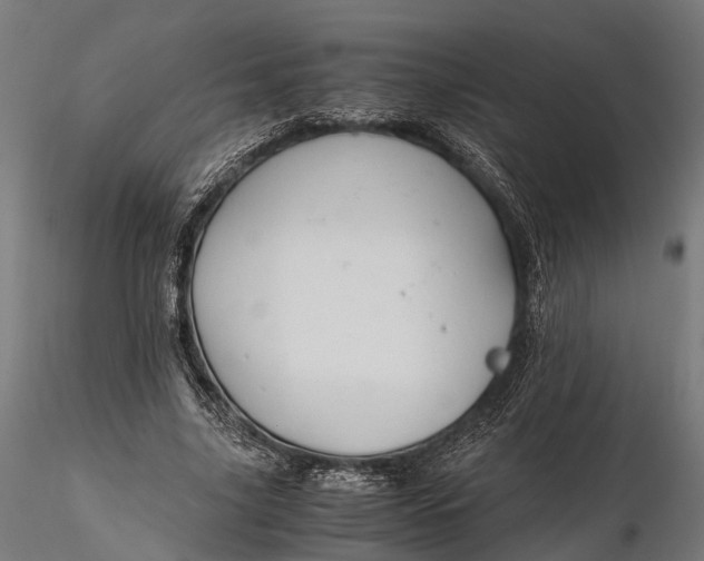 X0000116330635200912151306