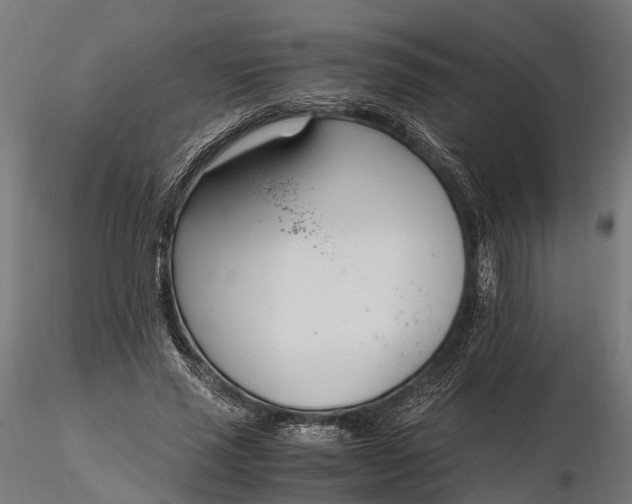 X0000116330637200912151306