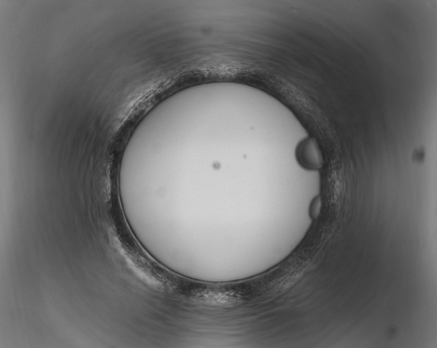 X0000116330638200912151306