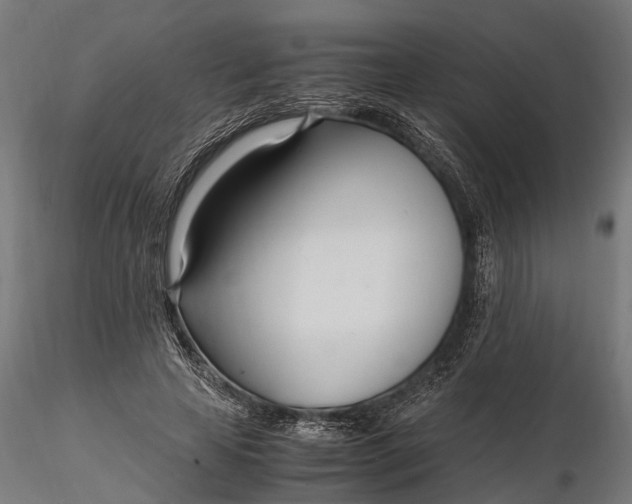 X0000116330641200912151306