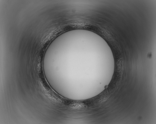 X0000116330642200912151306