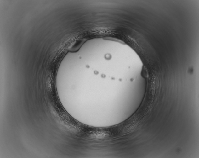 X0000116330643200912151306