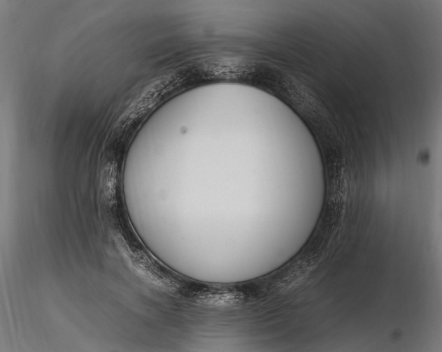 X0000116330646200912151306