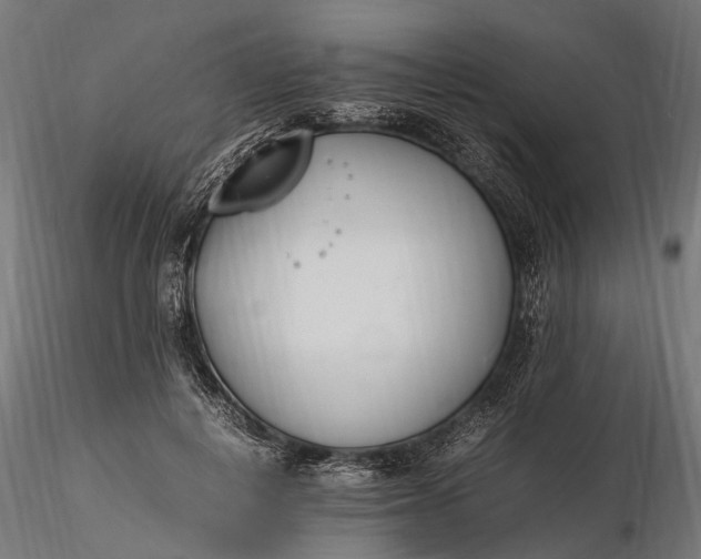 X0000116330648200912151306