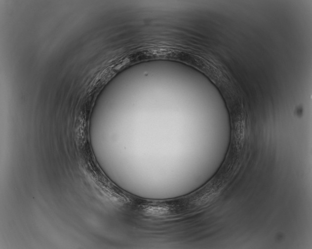 X0000116330653200912151306