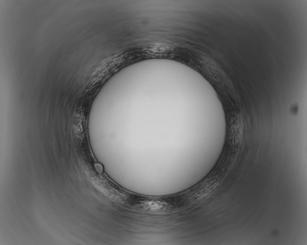 X0000116330654200912151306