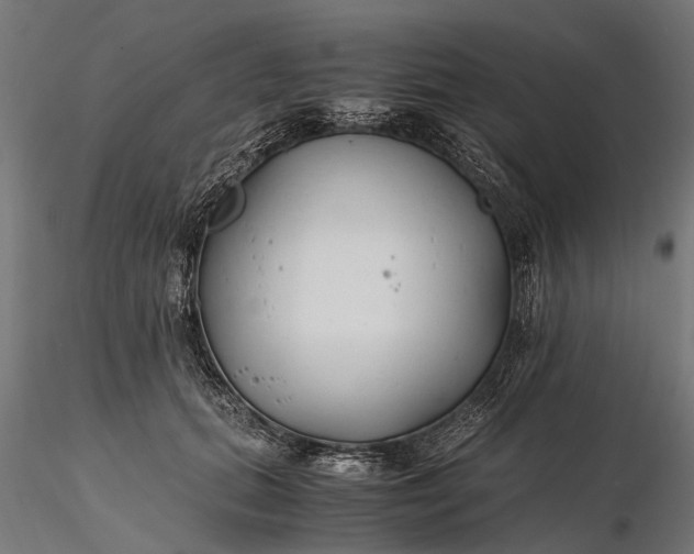 X0000116330655200912151306