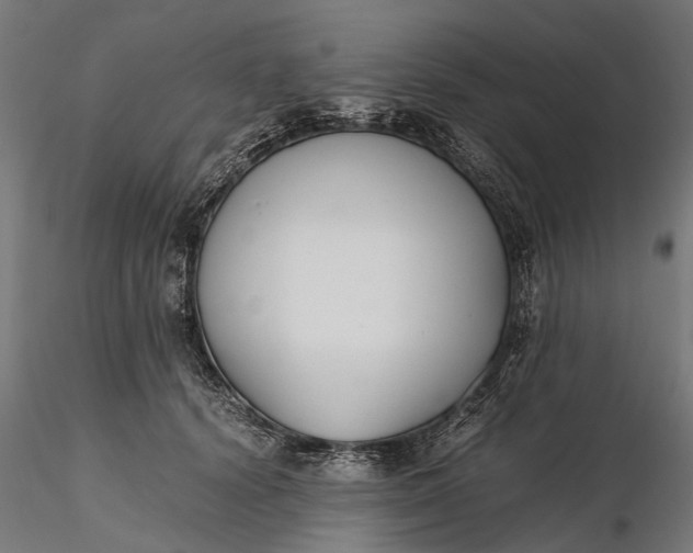 X0000116330656200912151306