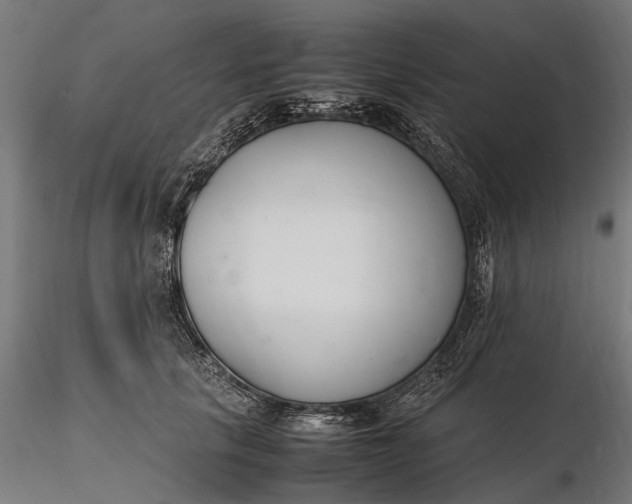 X0000116330657200912151306