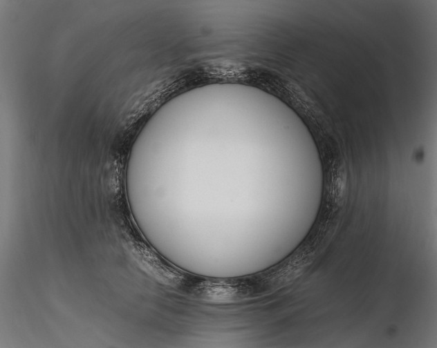 X0000116330658200912151306