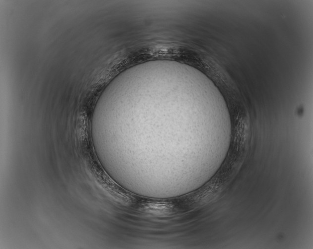 X0000116330659200912151306