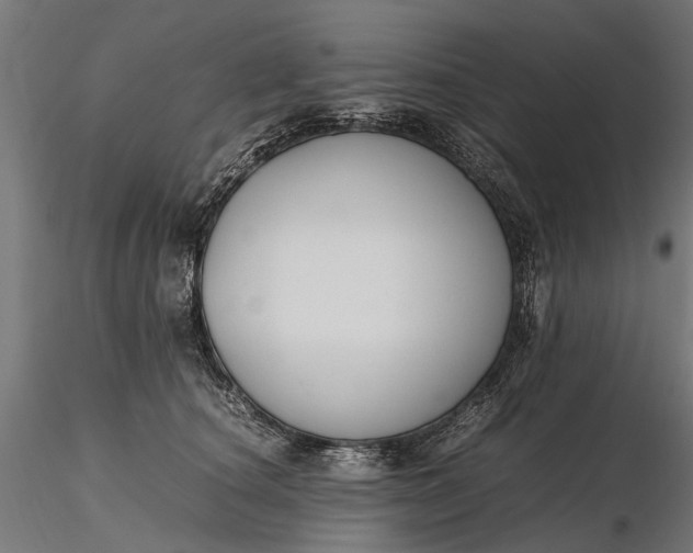 X0000116330660200912151306