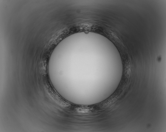 X0000116330661200912151306