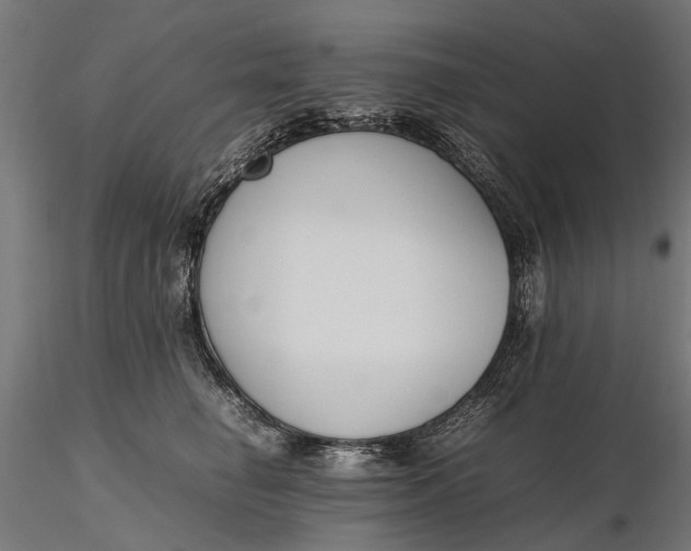 X0000116330662200912151306