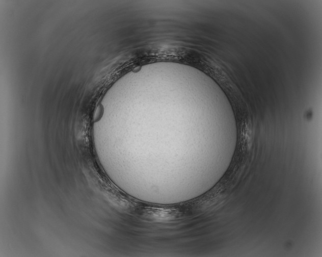 X0000116330663200912151306