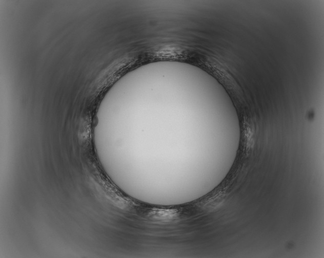 X0000116330665200912151306