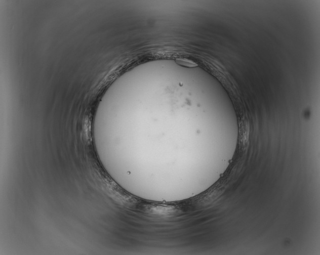 X0000116330669200912151306