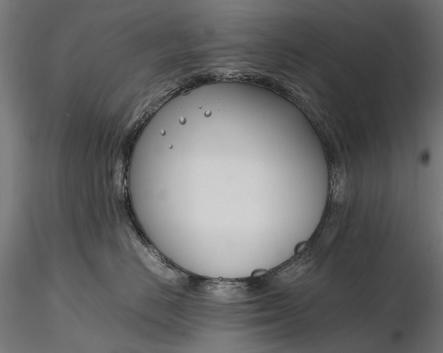 X0000116330670200912151306