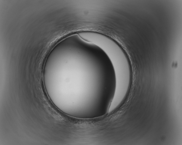 X0000116330673200912151306