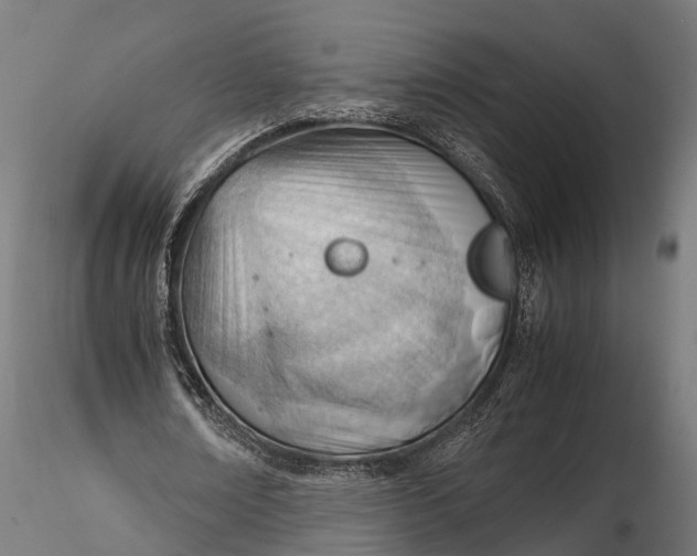 X0000116330674200912151306