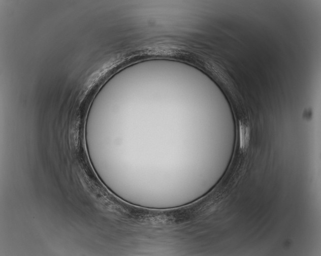 X0000116330675200912151306