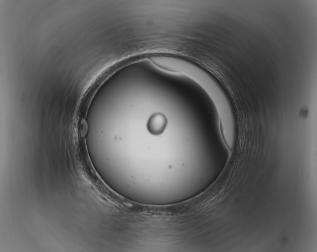 X0000116330676200912151306