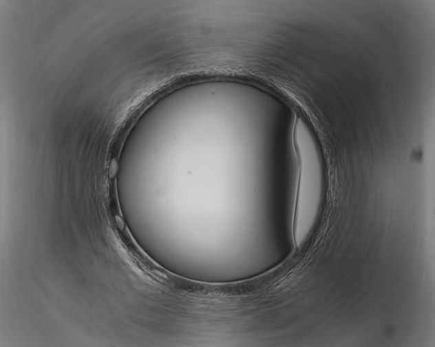 X0000116330677200912151306