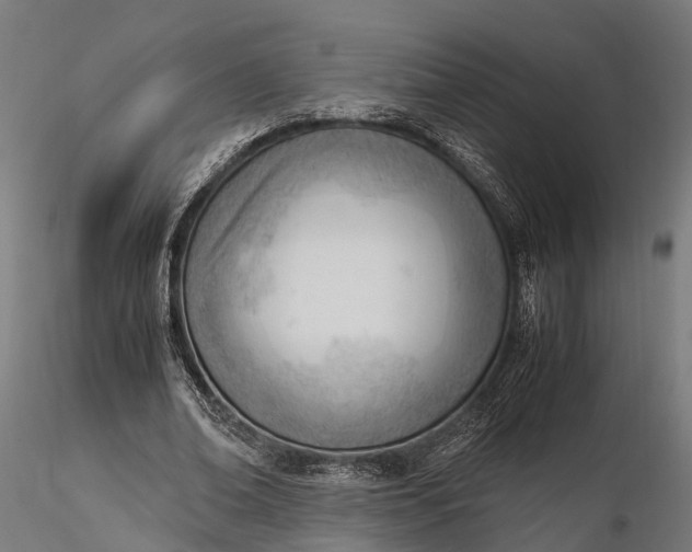 X0000116330678200912151306