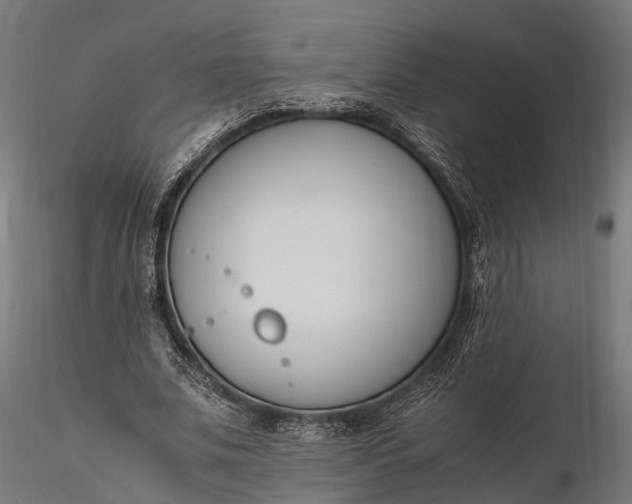 X0000116330679200912151306