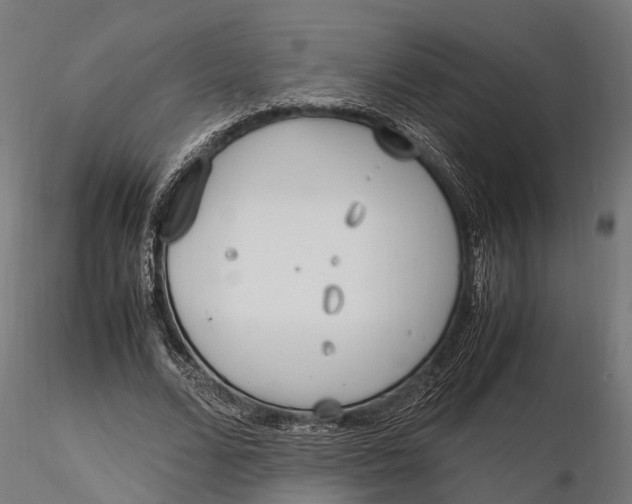 X0000116330680200912151306