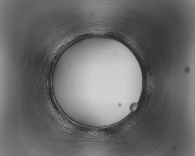 X0000116330681200912151306