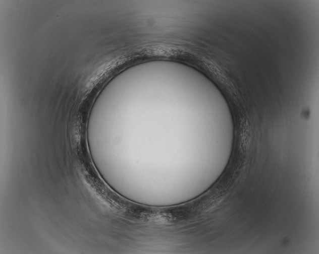 X0000116330683200912151306